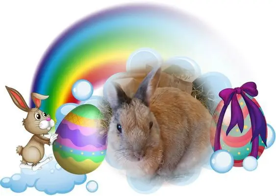 Condolence image of Frohe❤️❤️❤️Ostern❤️