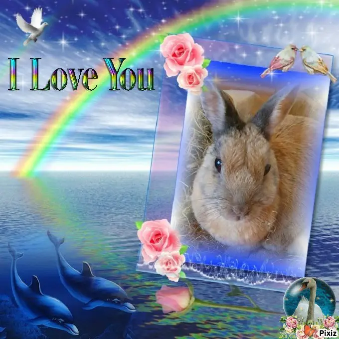 Condolence image of Tanja mit Timmy im Herzen