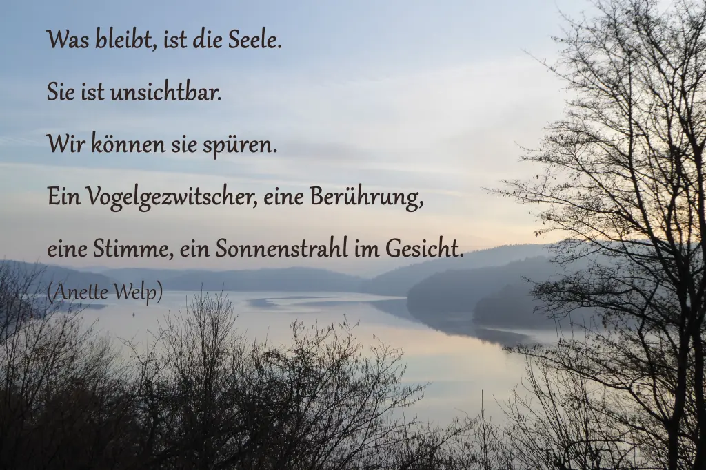 Condolence image of Katrin und Katzi im ❤️