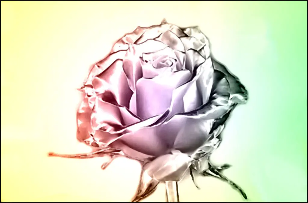 Condolence image of Post an Bunny ♥