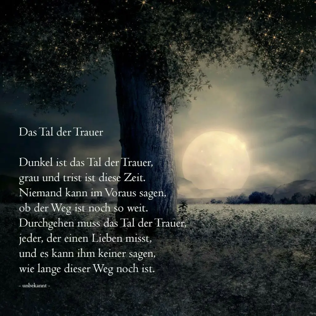 Condolence image of Katrin und Katzi im ❤️