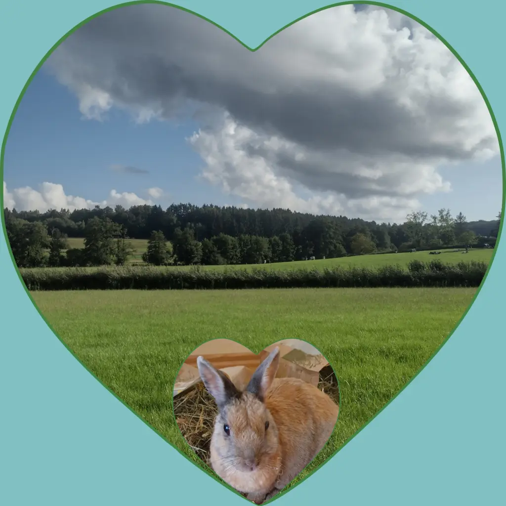 Condolence image of Corinna mit Emma, Pummelchen und anderen Sternlein im ❤️