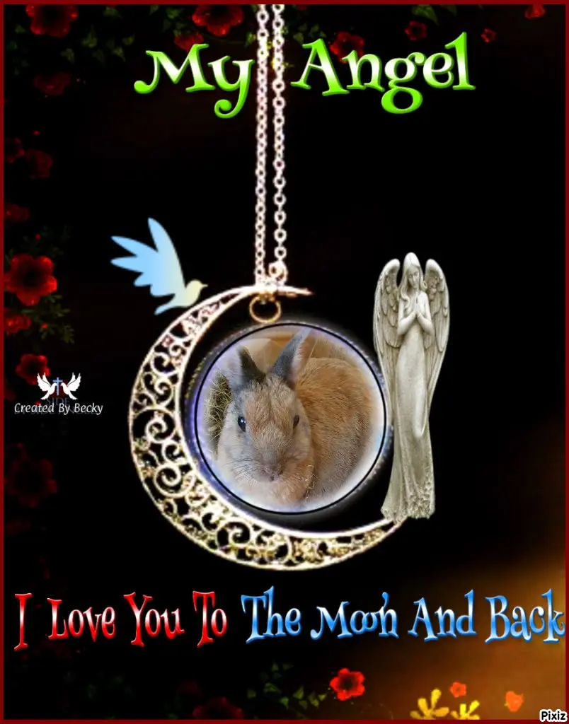 Condolence image of Tanja mit Timmy im Herzen