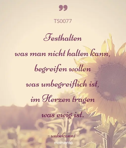 Condolence image of Katrin und Katzi im ❤️