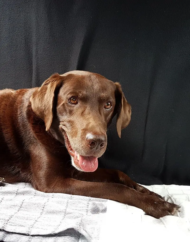 Andachtsbild von Silvana