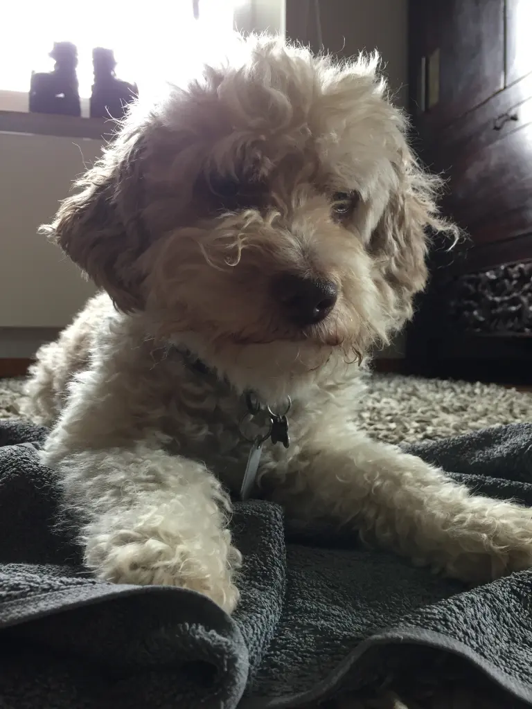 Andachtsbild von Heike