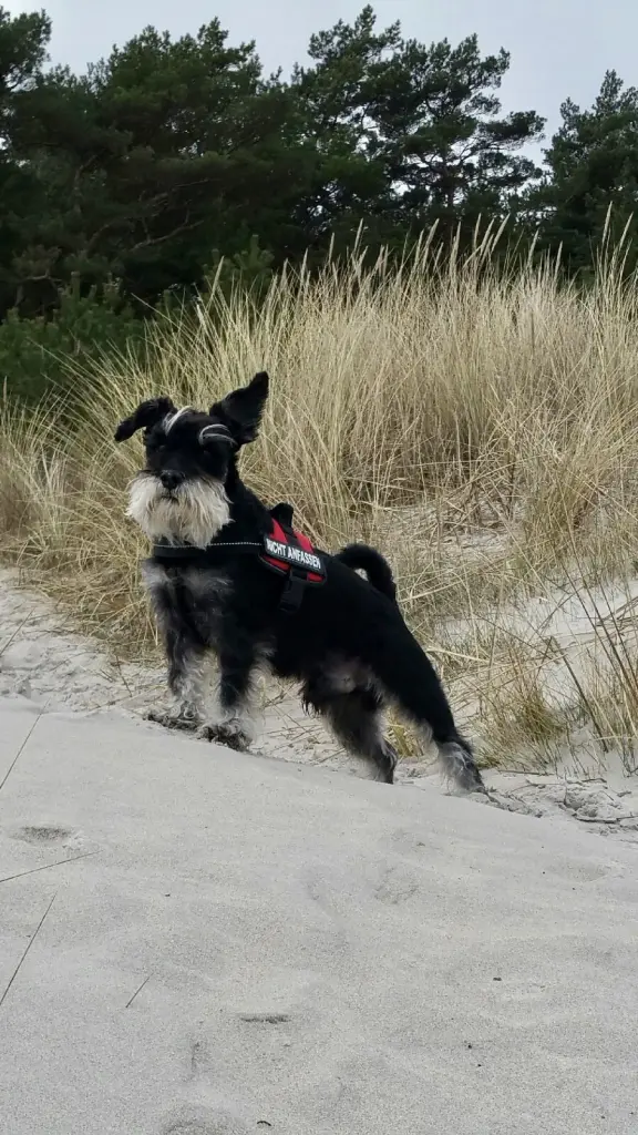 Andachtsbild von Tina mit Theo im Herzen