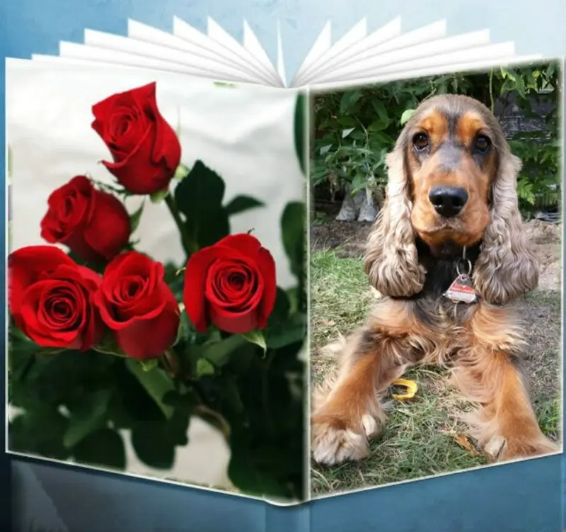 Condolence image of ❤️❤️❤️❤️❤️❤️❤️❤️❤️❤️❤️❤️❤️❤️
