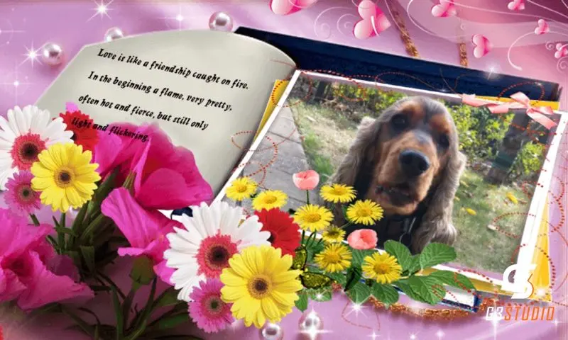 Condolence image of Sternchenpost ⭐