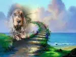 Condolence image of ❤️Mama❤️