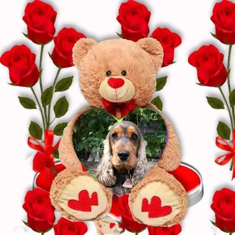 Condolence image of ❤️❤️❤️❤️❤️❤️❤️❤️❤️❤️❤️❤️❤️❤️