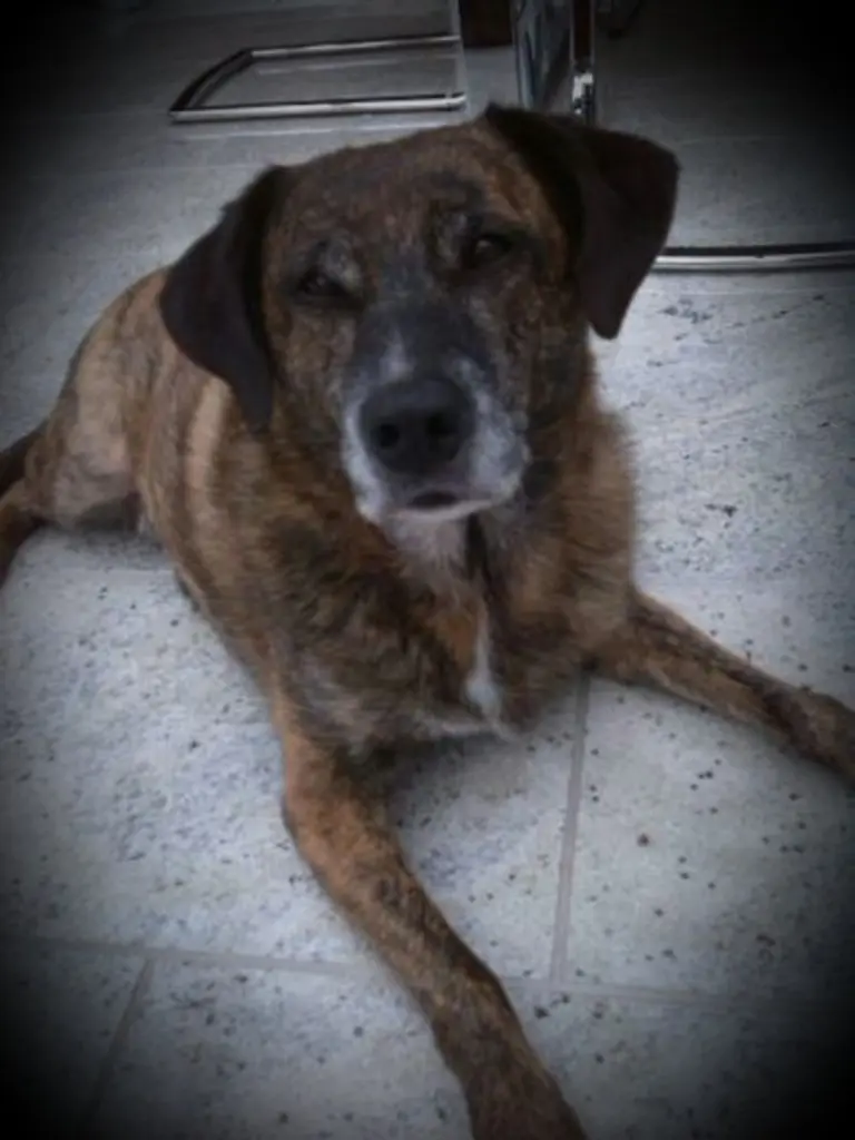 Condolence image of Gabi mit Max