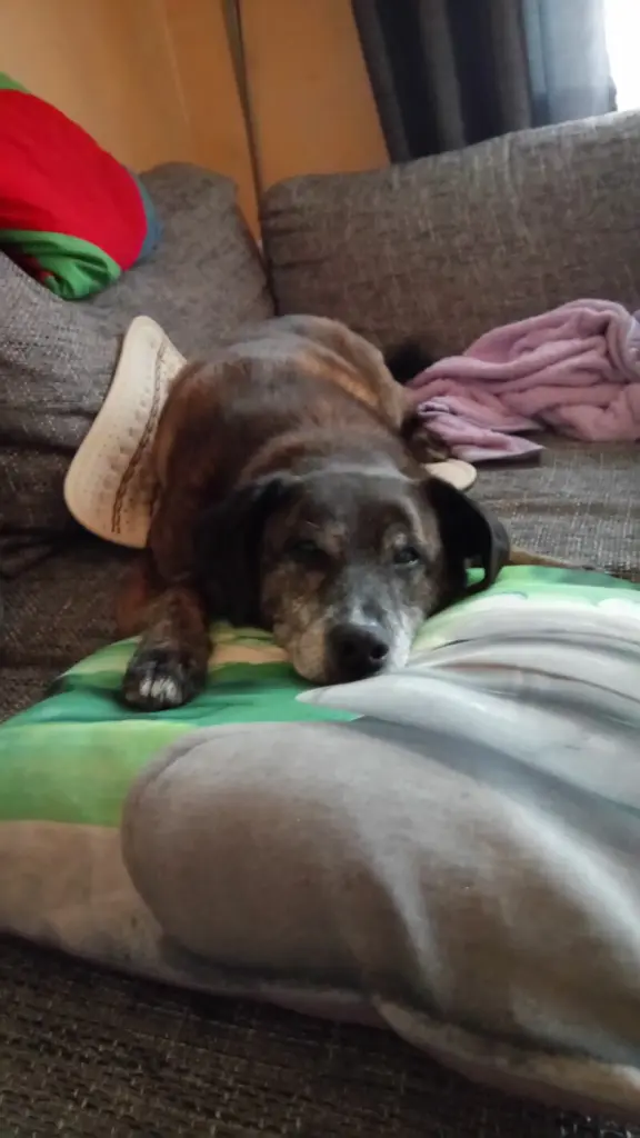 Condolence image of Gabi mit Max