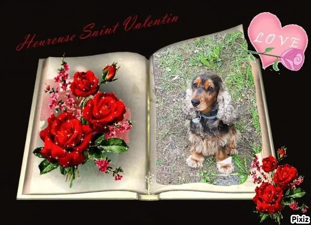 Condolence image of Patricia mit Bunny ❤️