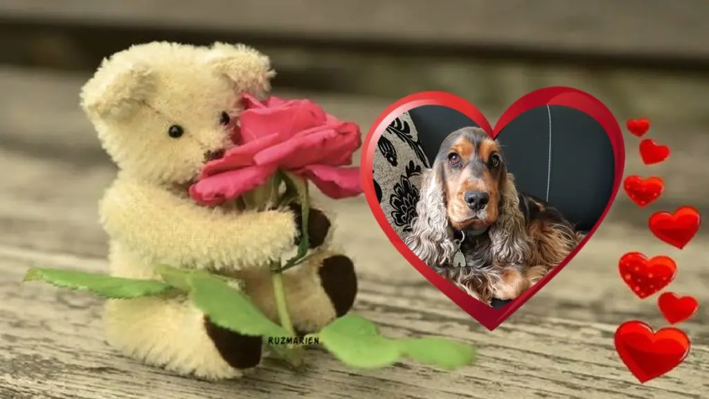 Condolence image of Sonntags❤️Rosen❤️❤️❤️❤️❤️❤️