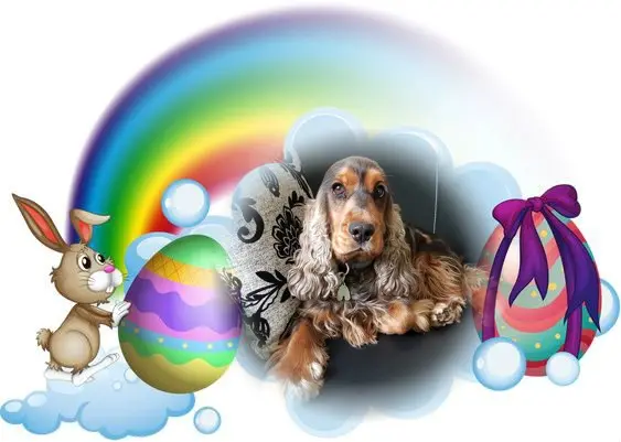 Condolence image of Frohe❤️❤️❤️Ostern❤️