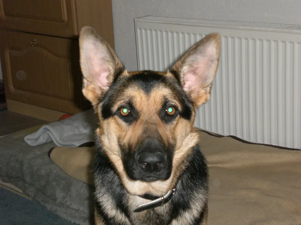 Condolence image of Marcus