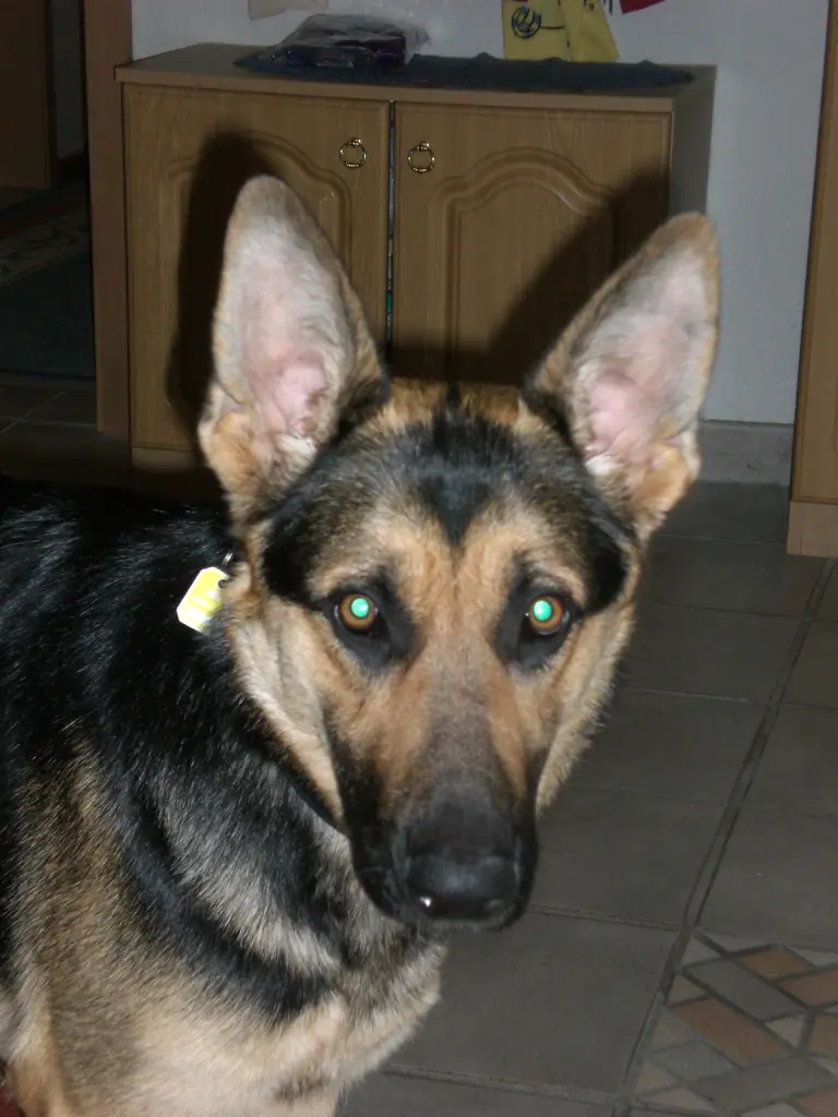 Condolence image of Marcus