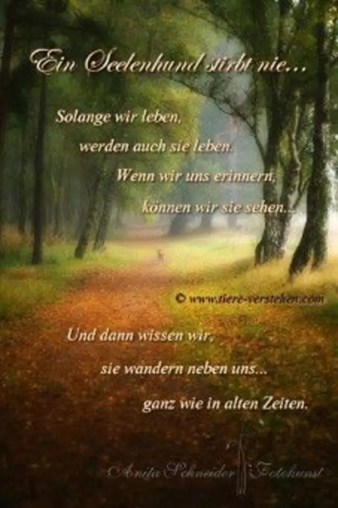 Andachtsbild von Katrin und Katzi im ❤️