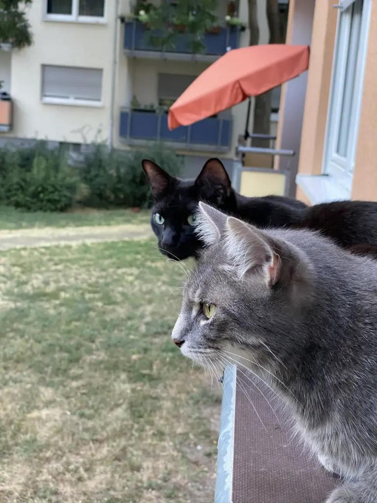 Andachtsbild von Vanessa