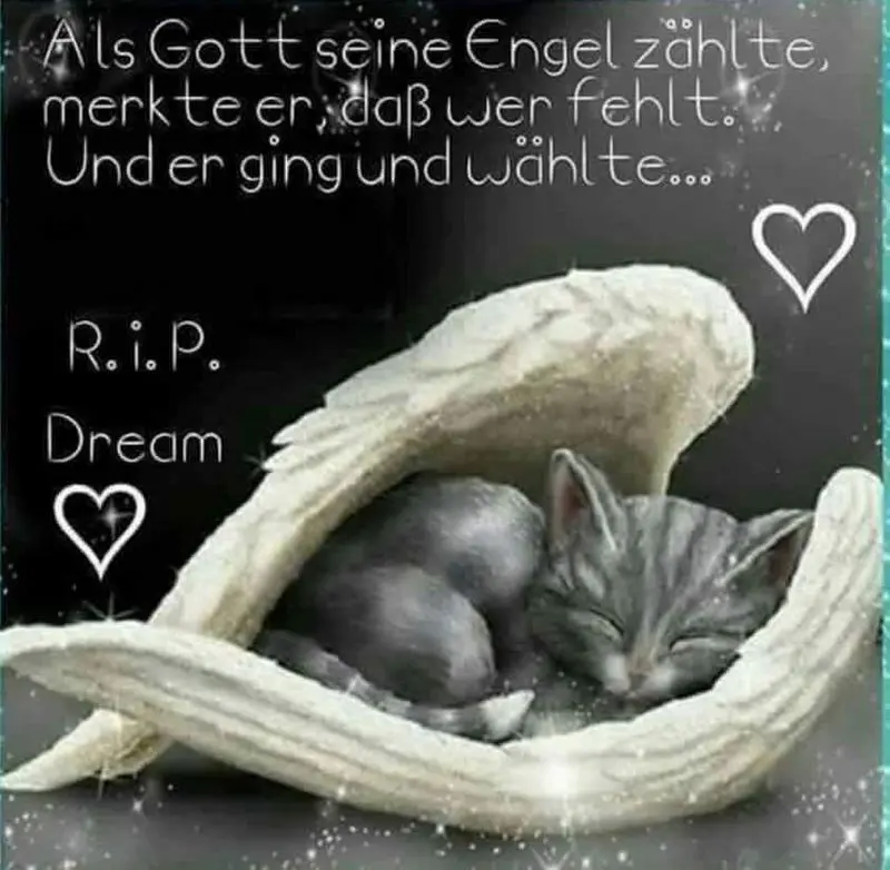 Andachtsbild von Katrin und Katzi im ❤️ es