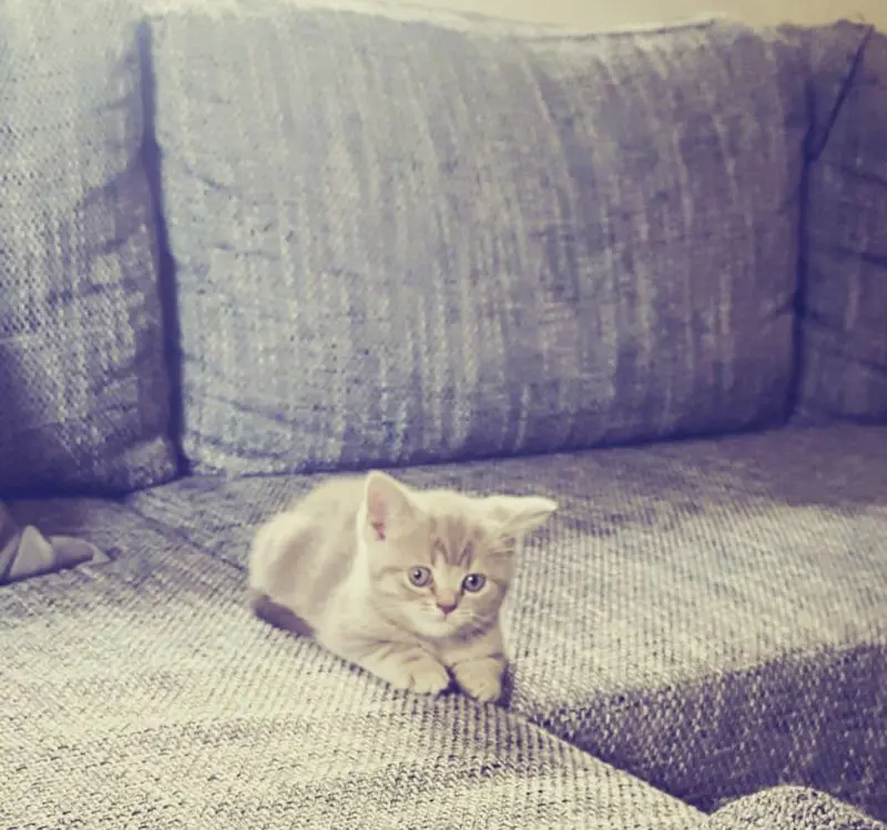 Andachtsbild von Nuro