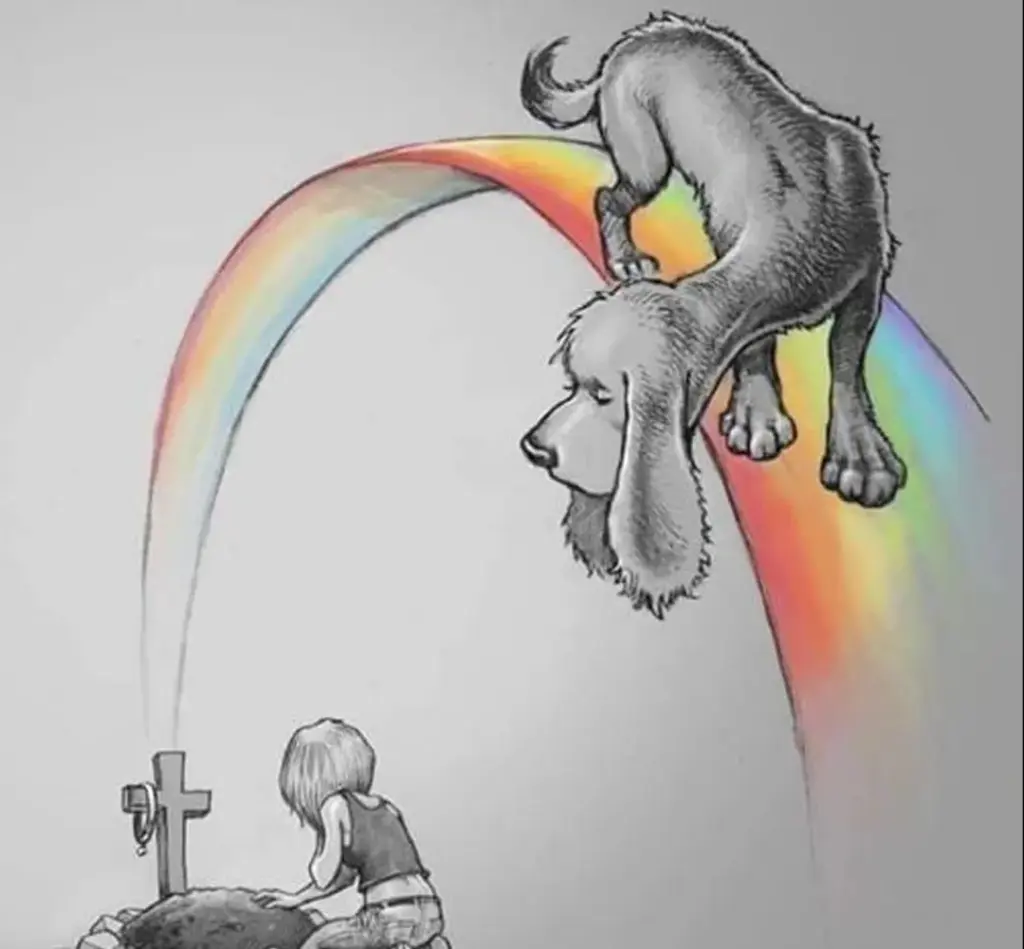 Condolence image of FRAUCHEN