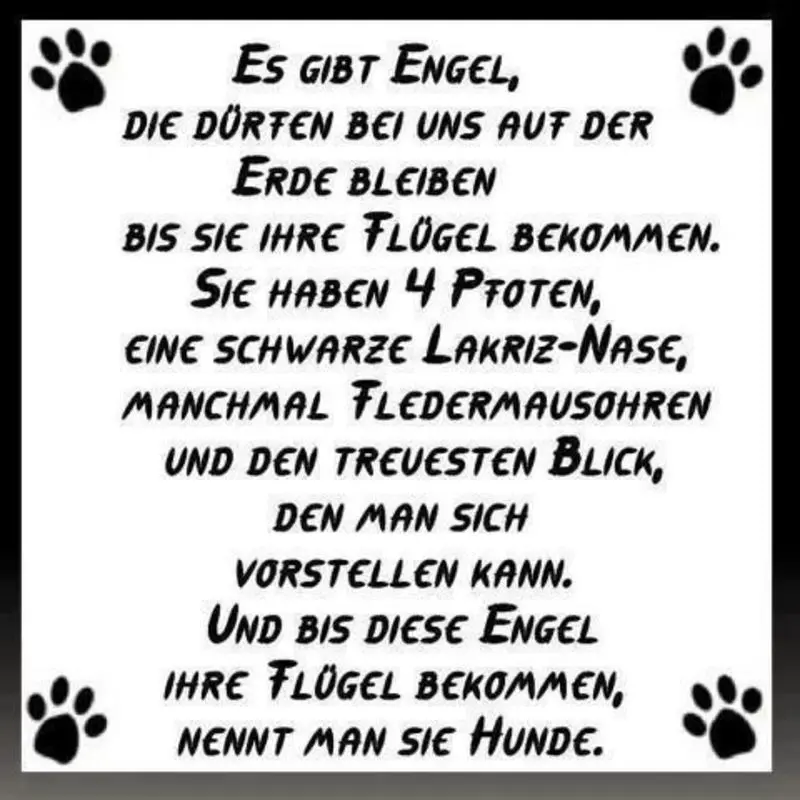 Andachtsbild von Katrin und Katzi im ❤️