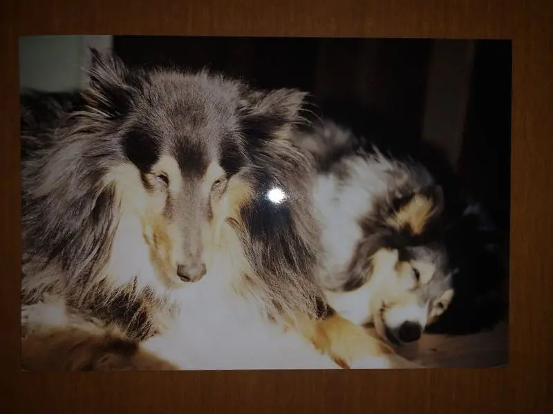 Andachtsbild von Charlotte Hock