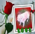 Andachtsbild von  Goldmann