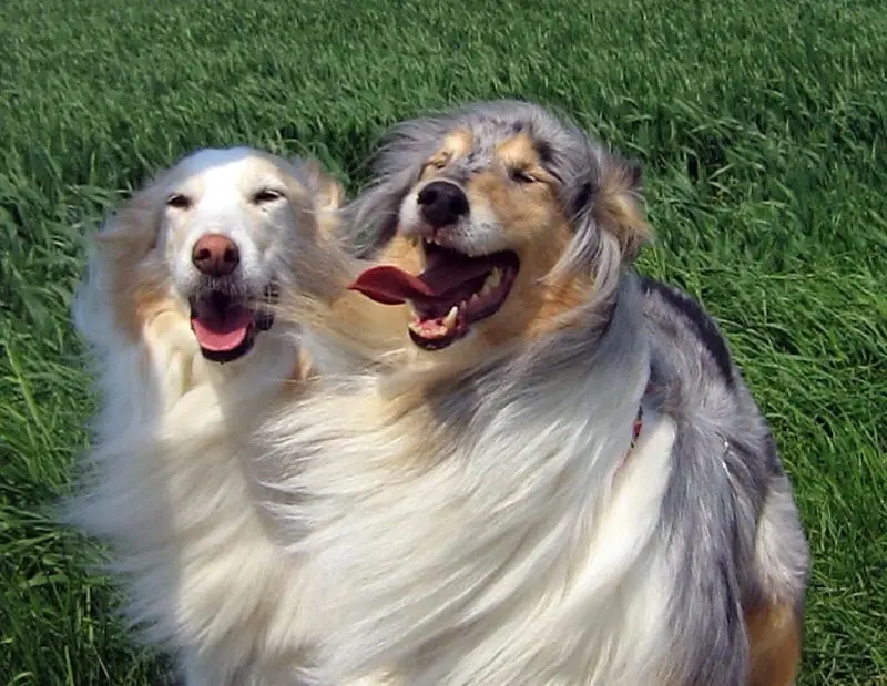 Andachtsbild von Wilfried und Annette