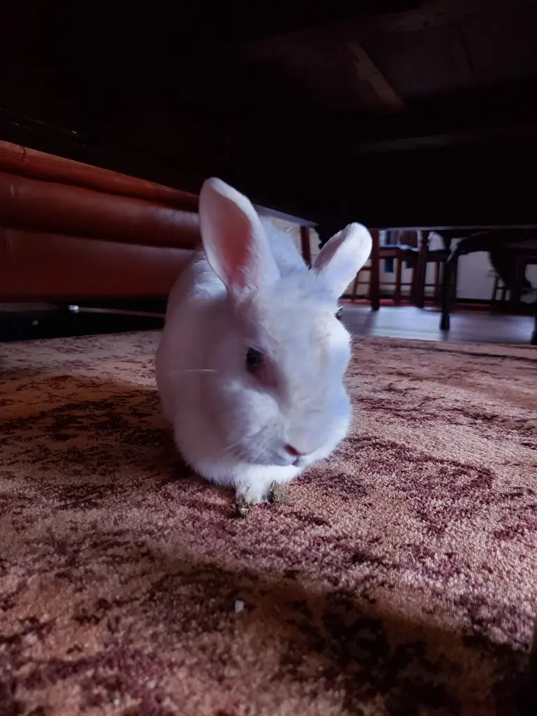 Condolence image of Heidi 