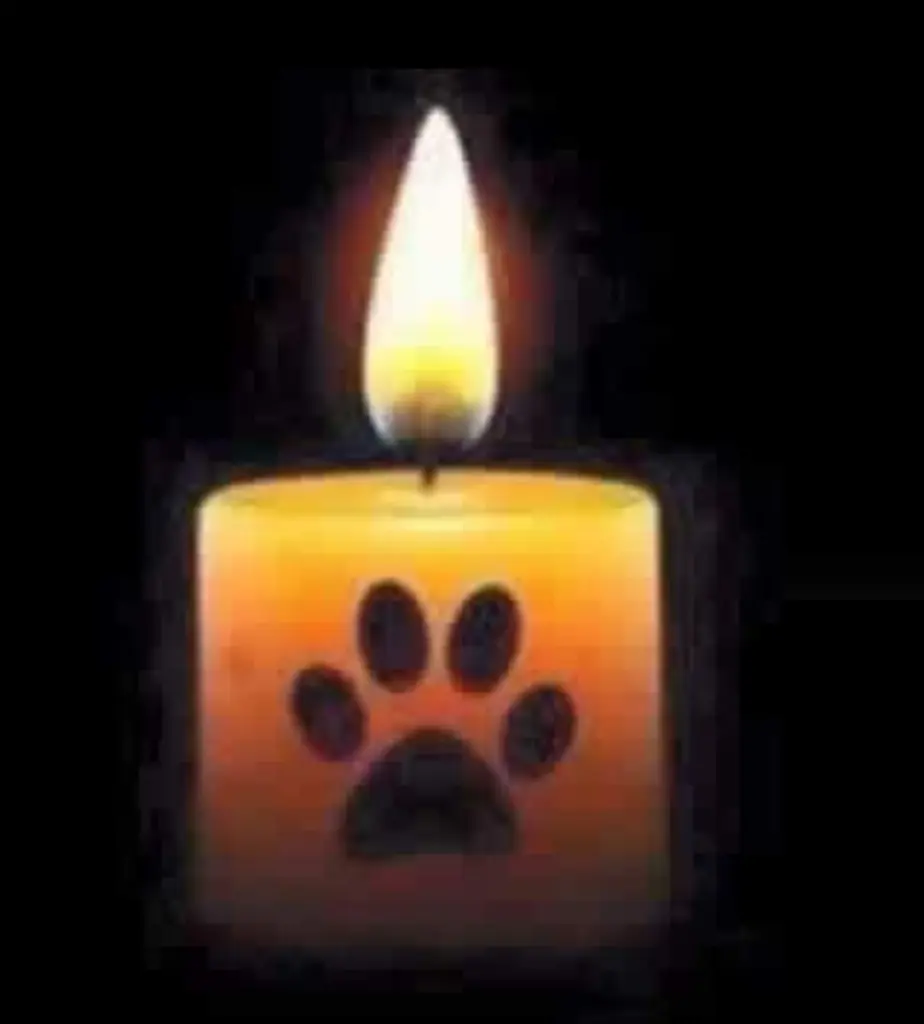Condolence image of Tanja 