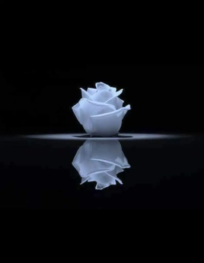 Condolence image of Unbekannt