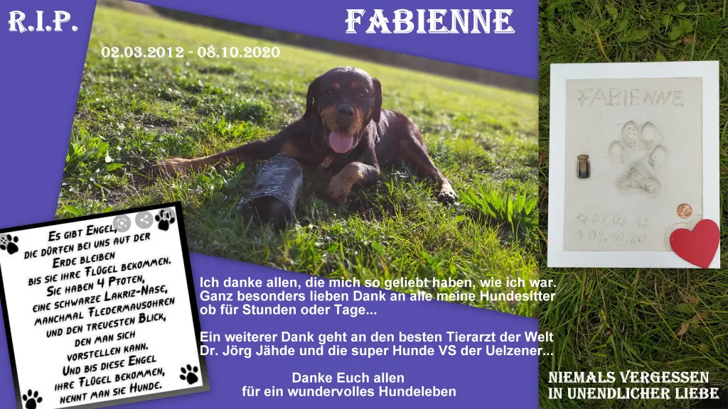 Bild von Fabienne