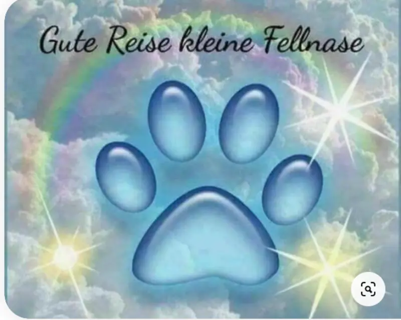 Andachtsbild von Mandy mit Pischo ganz tief im Herzen