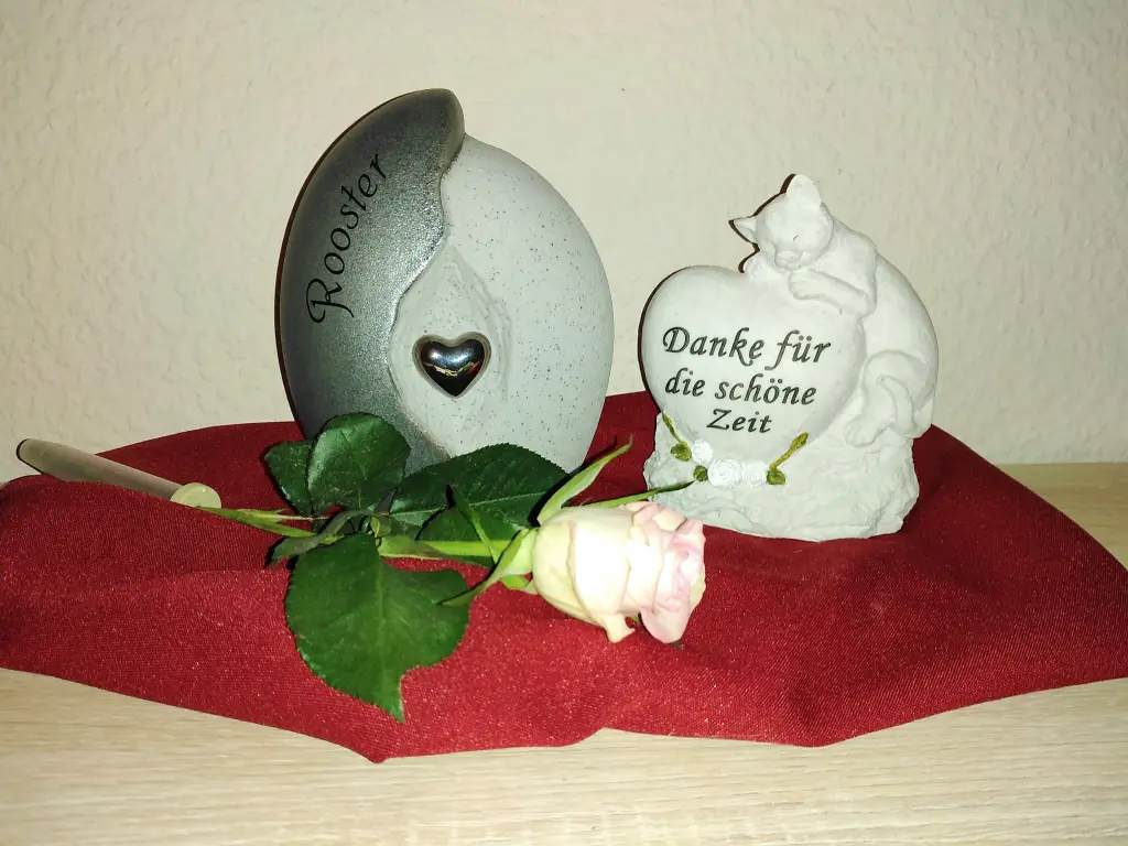 Image from Rooster