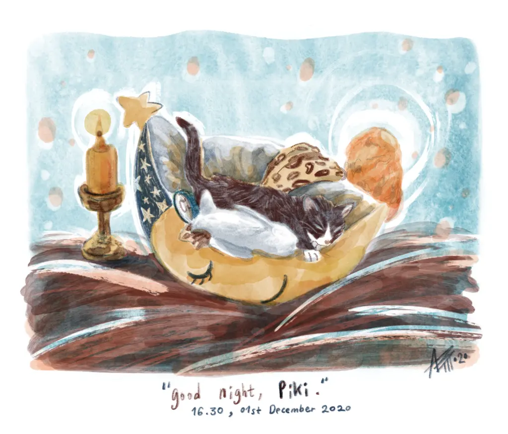 Image from Piki the Mighty Kat