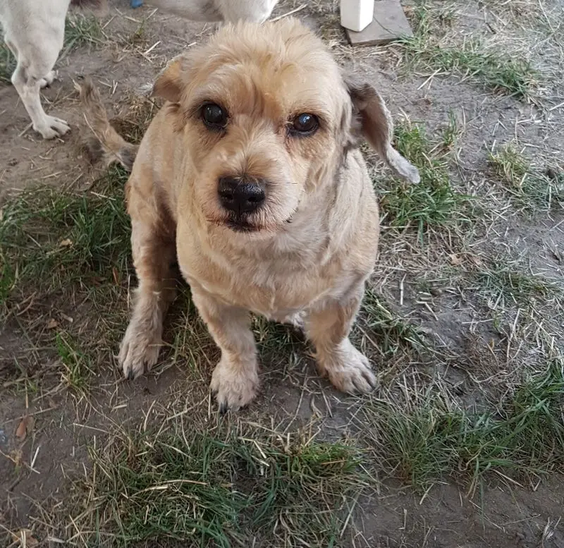 Andachtsbild von Renate