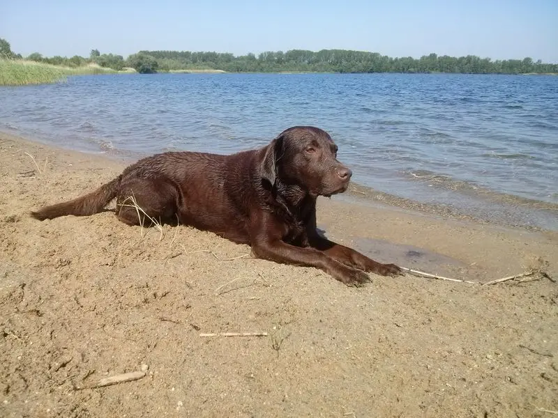 Andachtsbild von Silvana