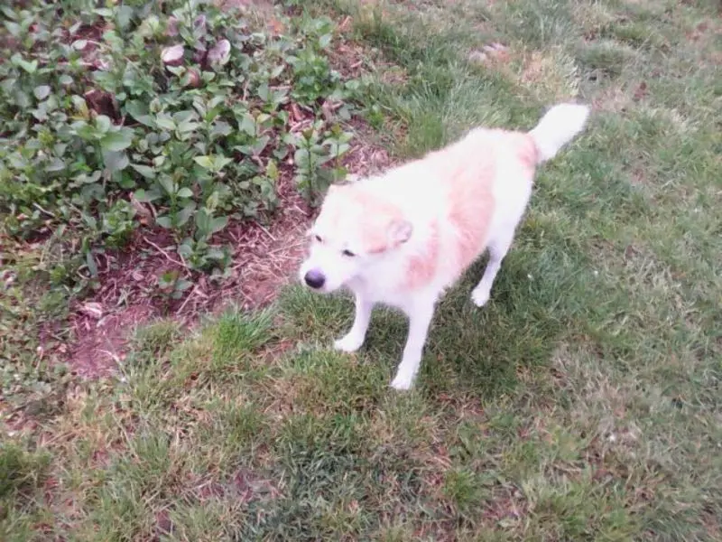 Andachtsbild von Familie Goldmann