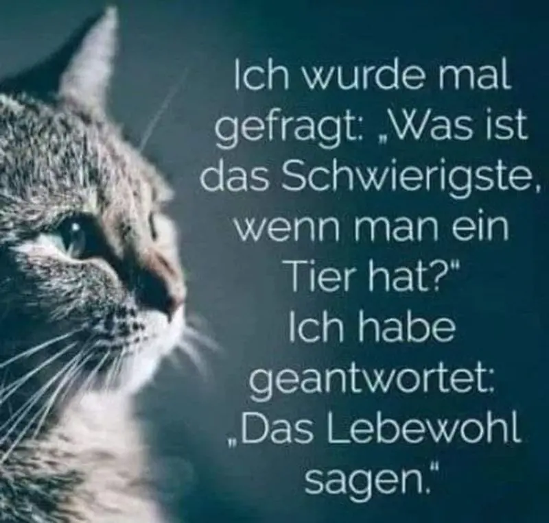 Andachtsbild von Jeannette mit Sisi und Lissy im ❤️