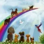 Andachtsbild von Katrin und Katzi im ❤️