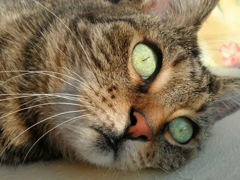 Andachtsbild von Melanie und Dirk