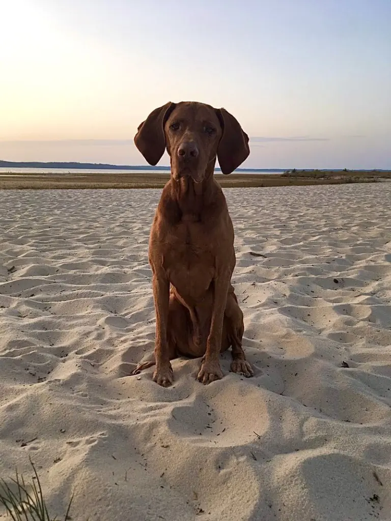 Andachtsbild von Linda