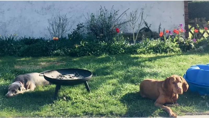 Andachtsbild von Mareike und Milla