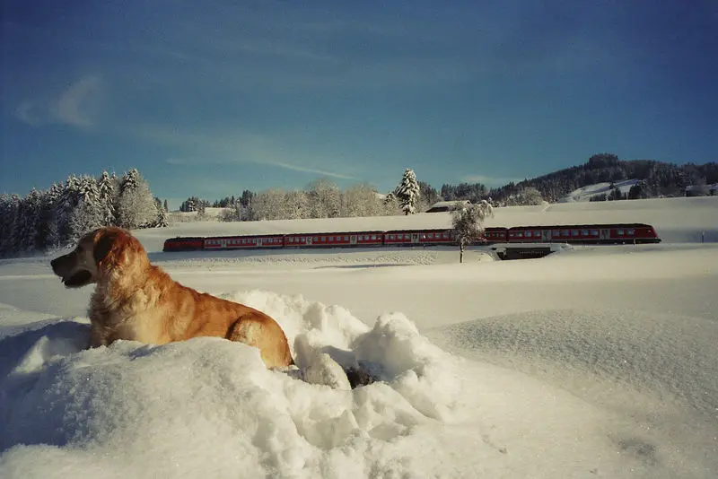 Andachtsbild von Unbekannt