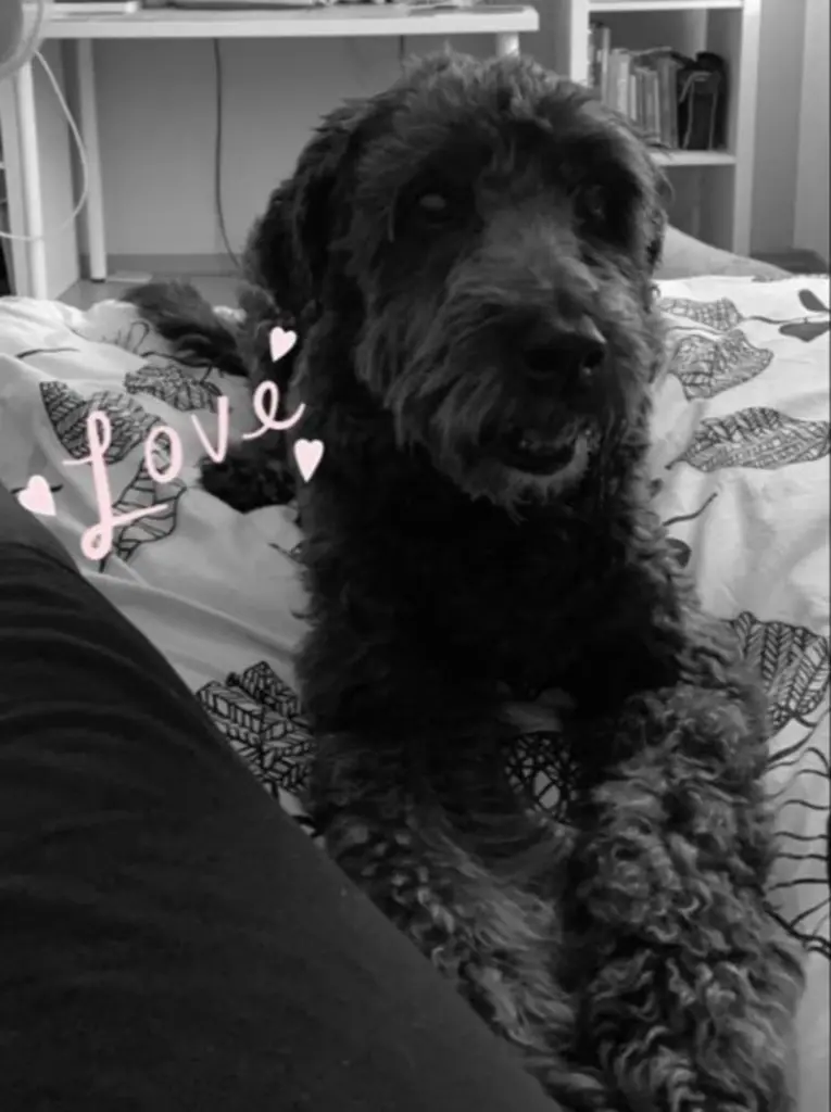 Andachtsbild von Bettina mit Aika im ❤