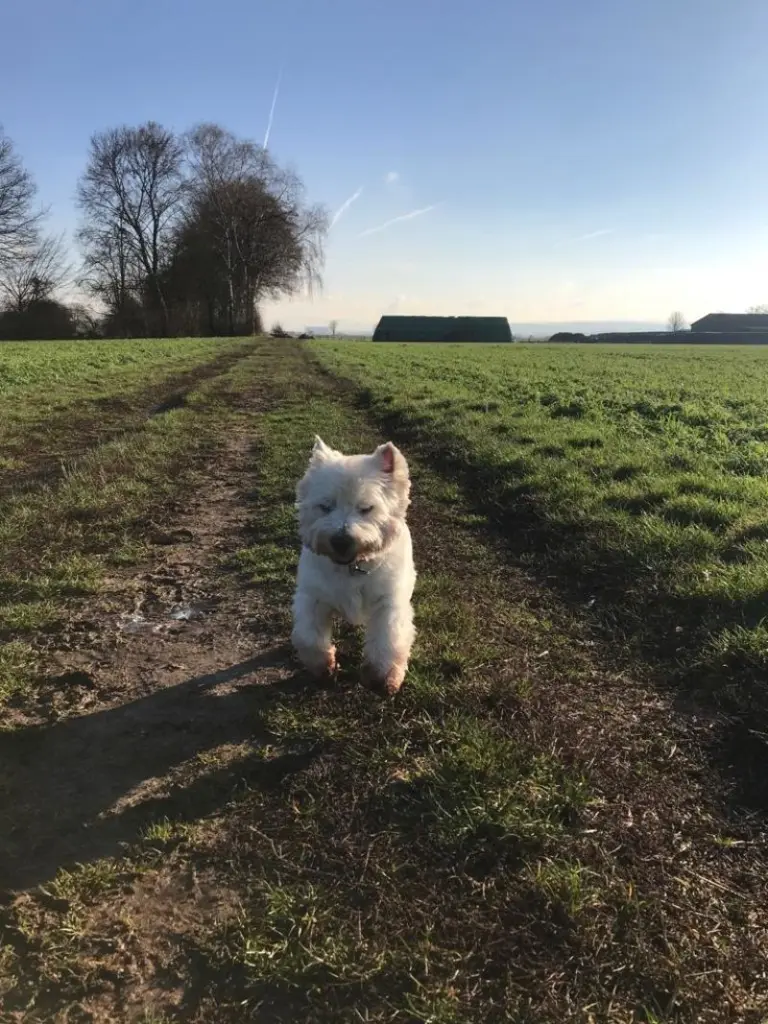 Andachtsbild von Deine Mama