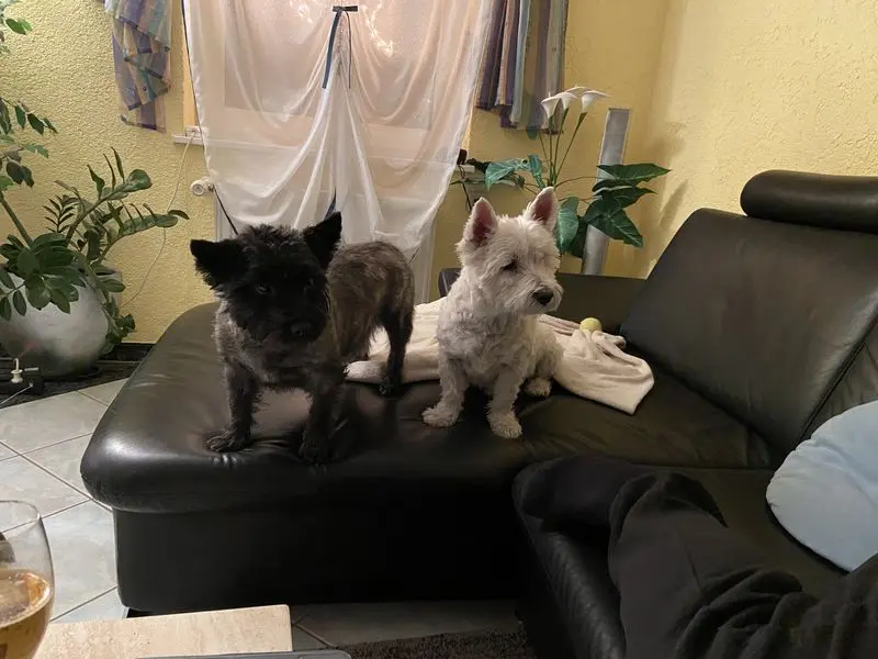 Andachtsbild von Ulrike Krämer